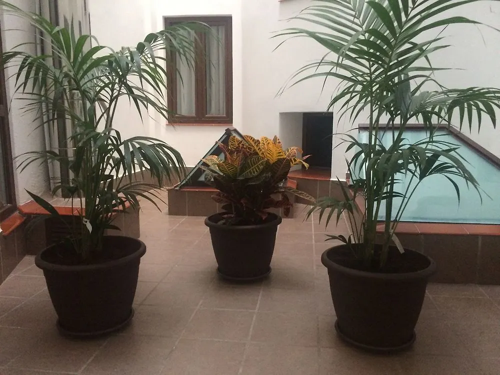 Castilla Guerrero Malaga Hotel